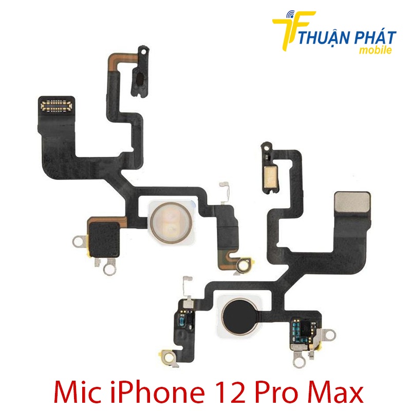 Mic iPhone 12 Pro Max