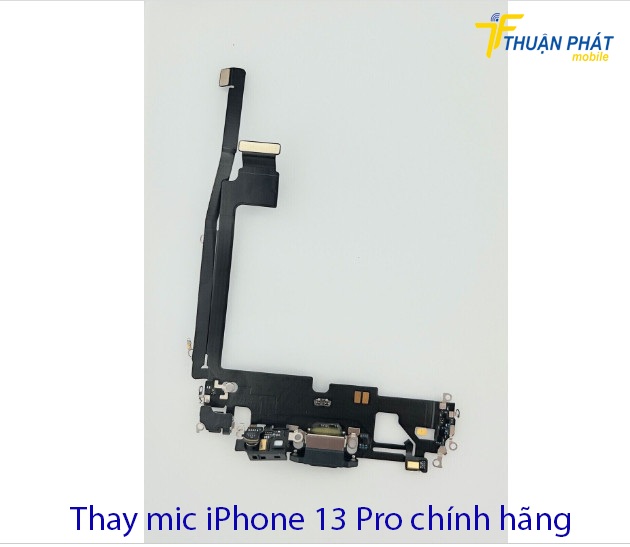 Mic iPhone 13 Pro chính hãng