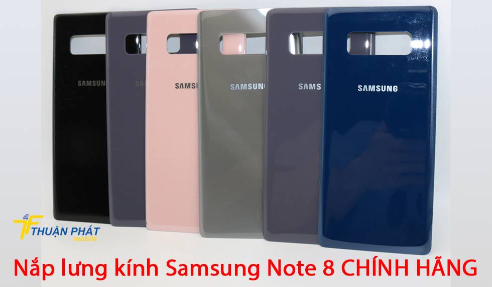 Nắp lưng kính Samsung Note 8 chính hãng