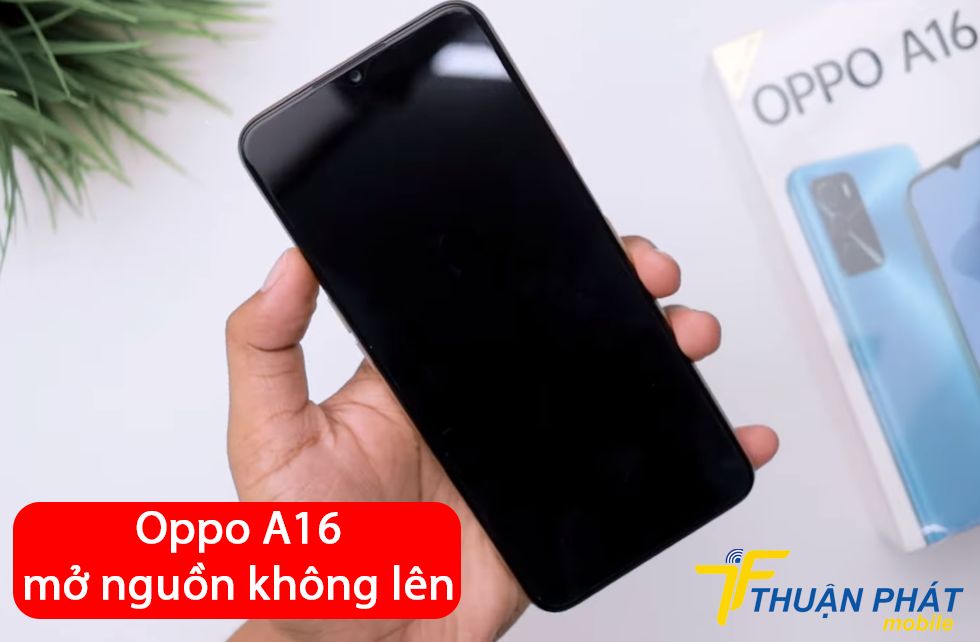 Oppo A16 mở nguồn không lên