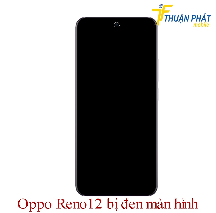 Oppo Reno12 bị đen màn hình