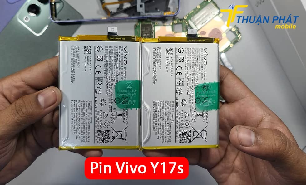 Pin Vivo Y17s