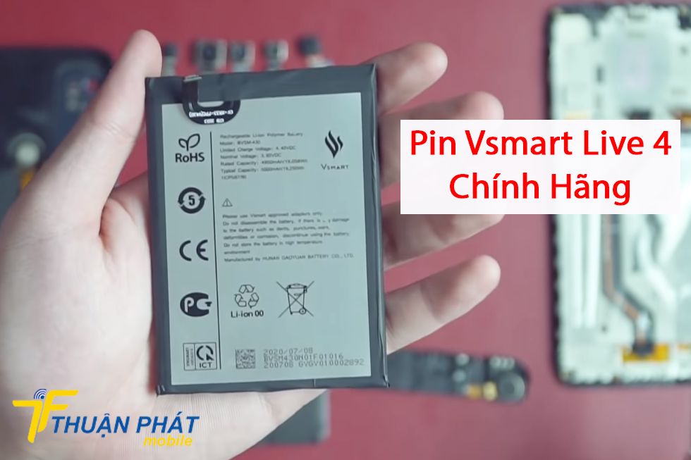 Pin Vsmart Live 4 chính hãng