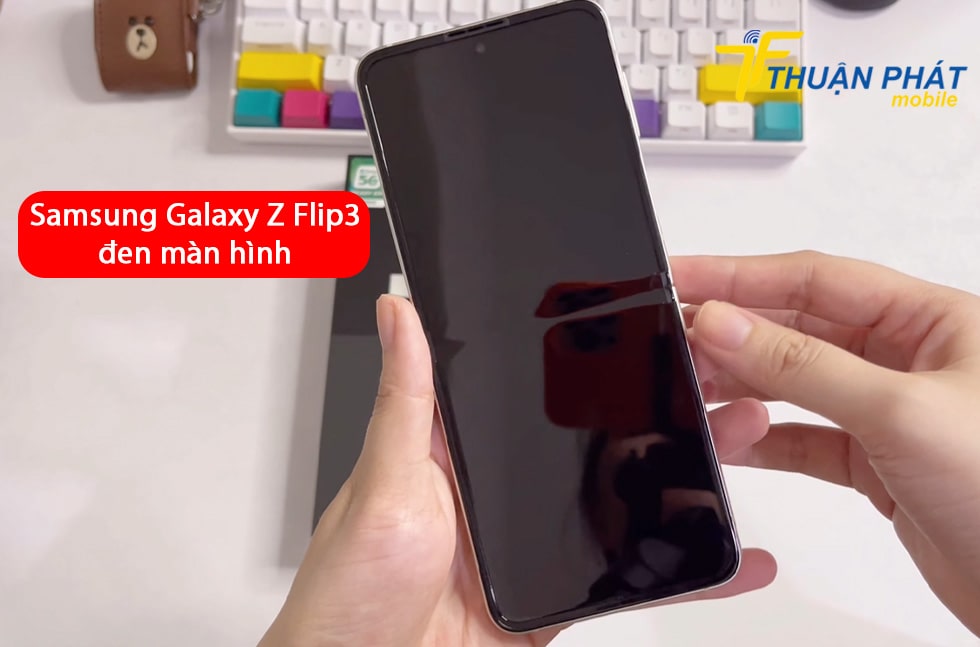 Samsung Galaxy Z Flip3 đen màn hình