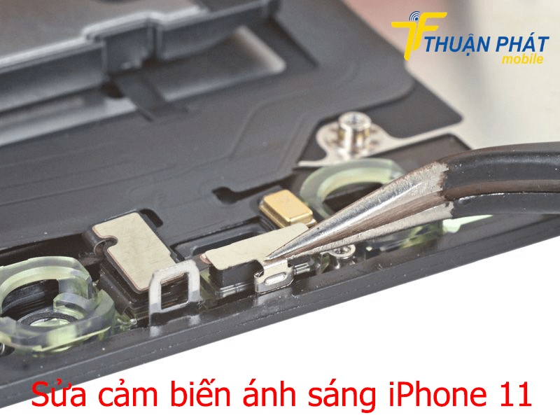 Sửa chữa cảm biến ánh sáng iPhone 11