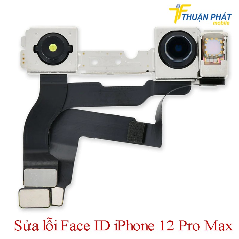 Sửa lỗi Face ID iPhone 12 Pro Max