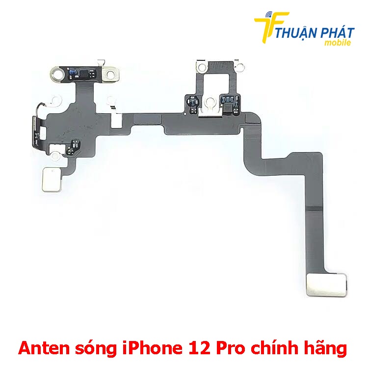 Anten sóng iPhone 12 Pro chính hãng