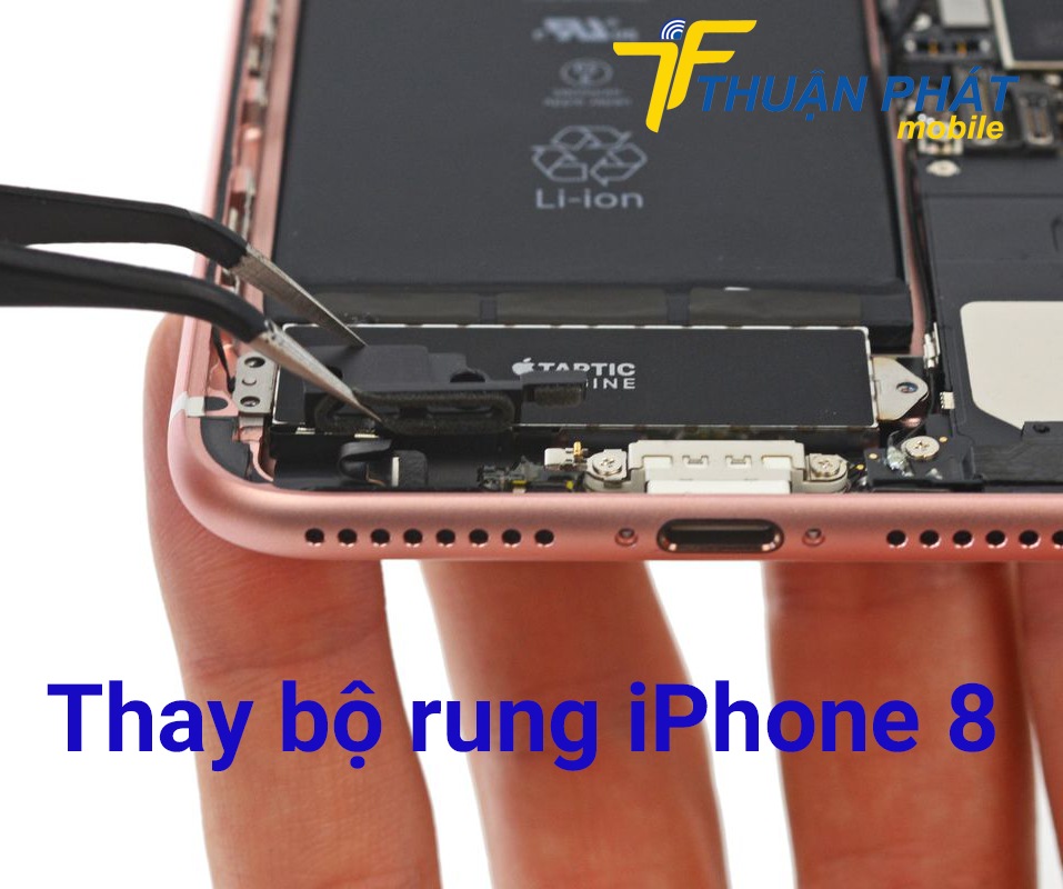 Thay bộ rung iPhone 8