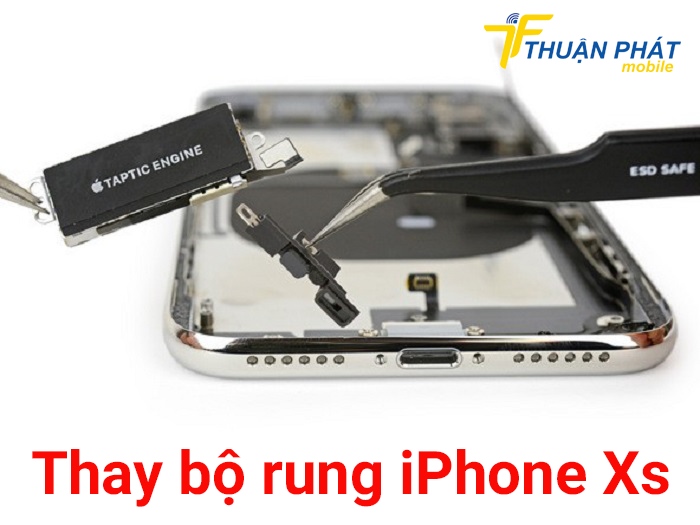 Thay bộ rung iPhone Xs