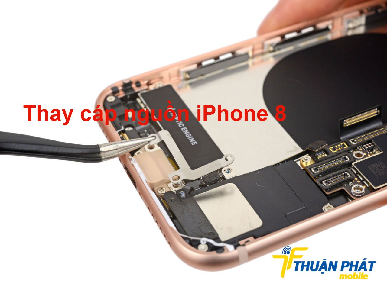 Thay cáp nguồn iPhone 8