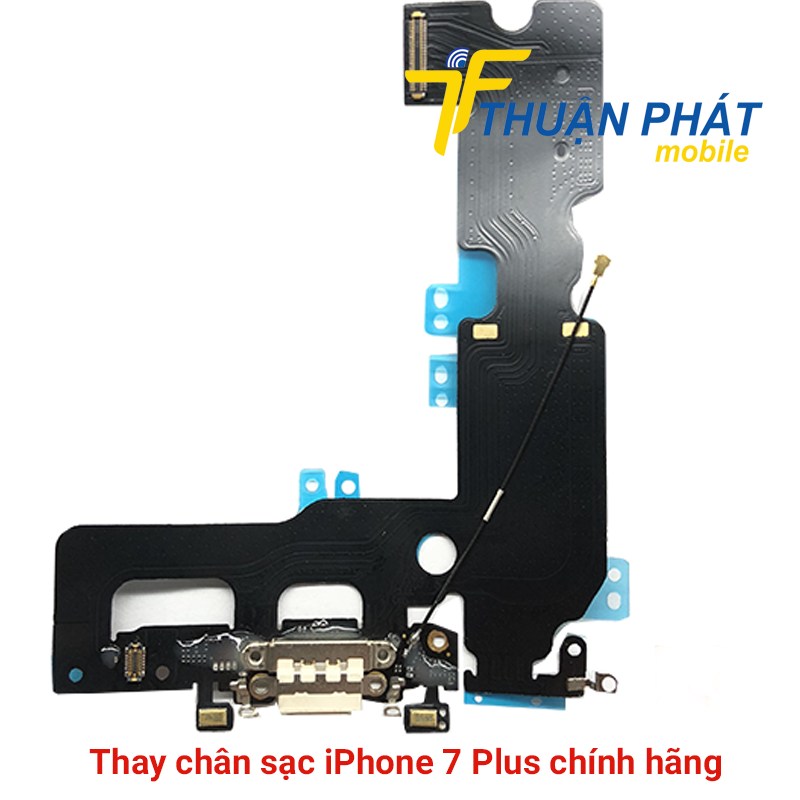 Thay chân sạc iPhone 7 Plus chính hãng