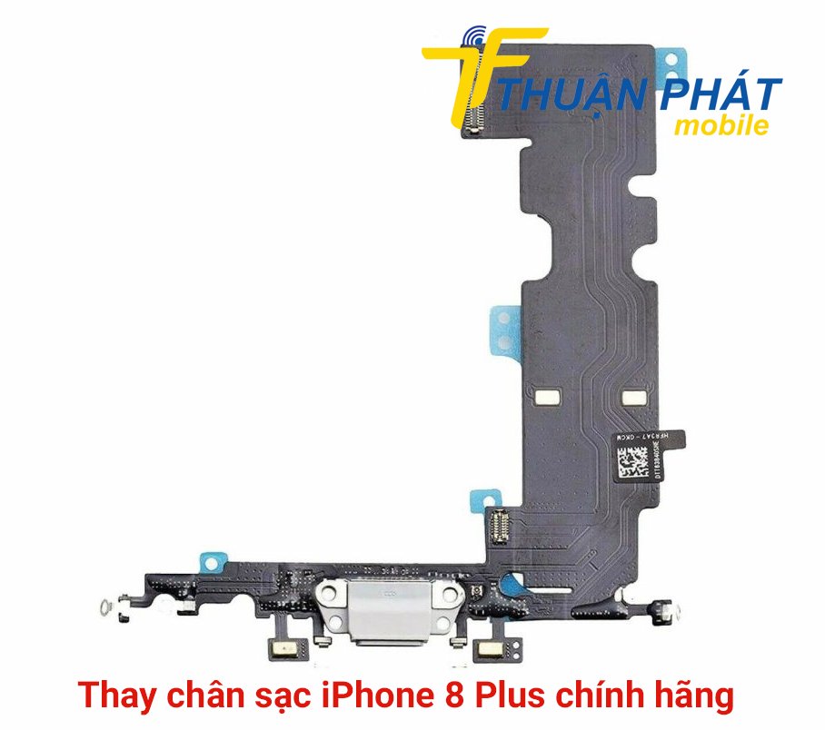 Thay chân sạc iPhone 8 Plus chính hãng