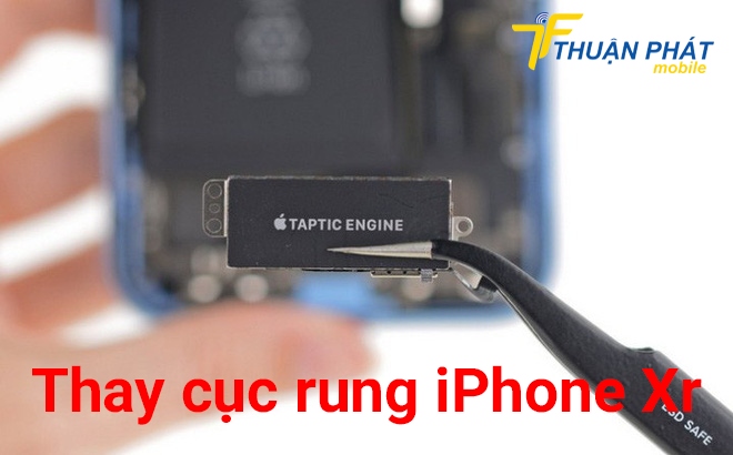 Thay cục rung iPhone Xr