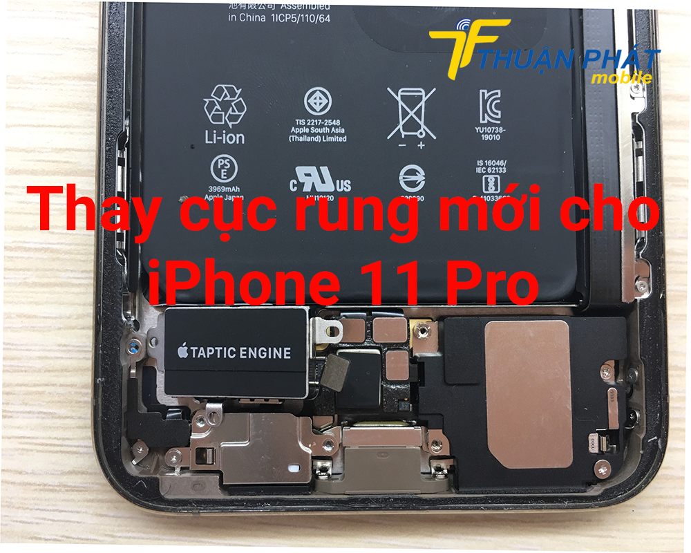 Thay cục rung mới cho iPhone 11 Pro