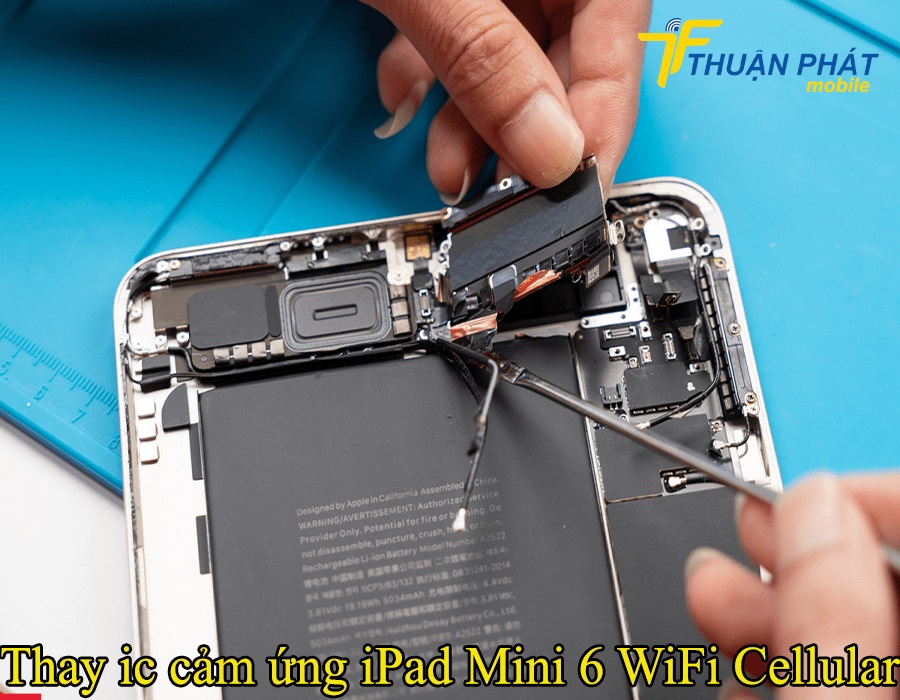 Thay ic cảm ứng iPad Mini 6 WiFi Cellular