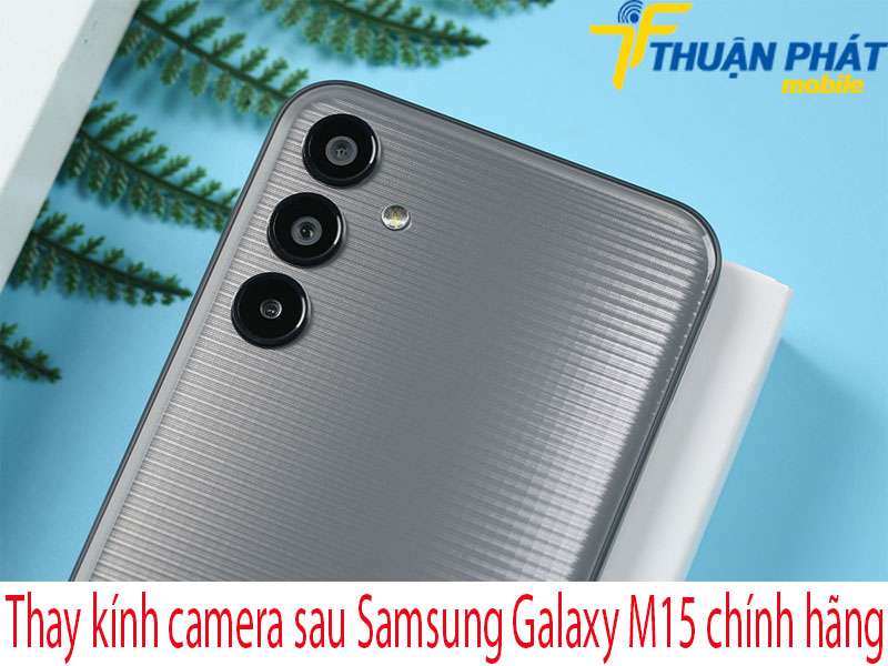 Thay kính camera sau Samsung Galaxy M15 chính hãng tại Thuận Phát Mobile