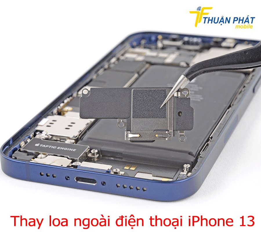 Thay loa ngoài điện thoại iPhone 13