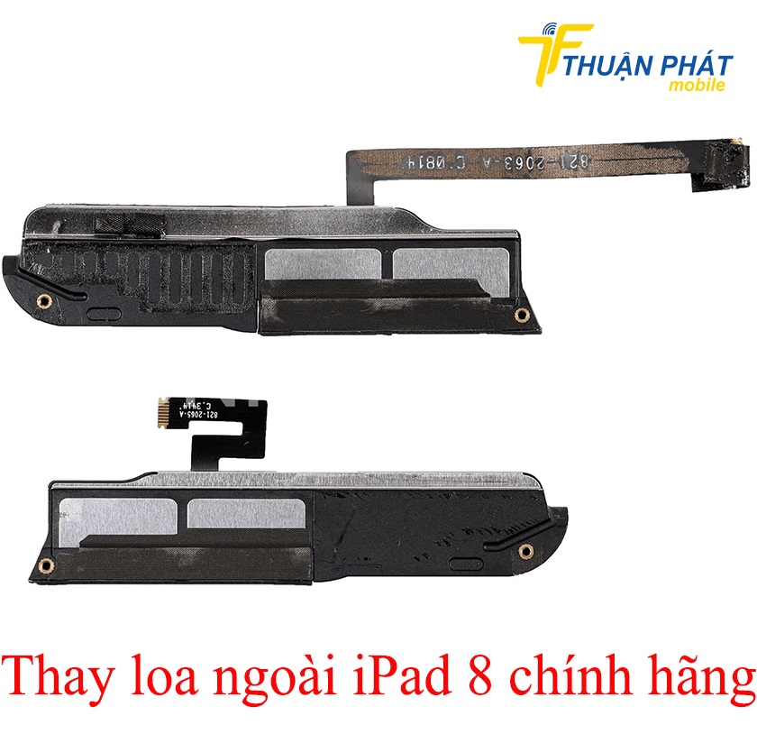 Thay loa ngoài iPad 8 chính hãng