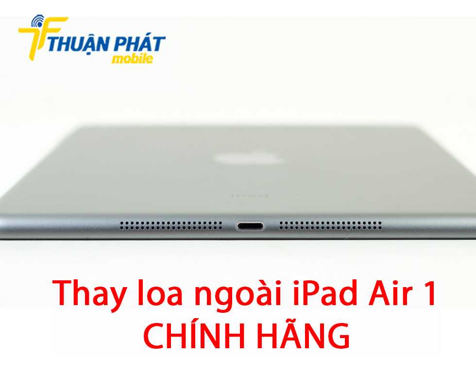 Thay loa ngoài iPad Air 1 chính hãng