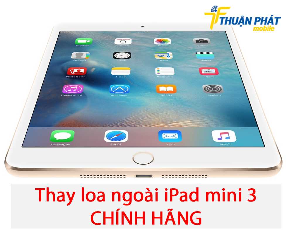 Thay loa ngoài iPad mini 3 chính hãng