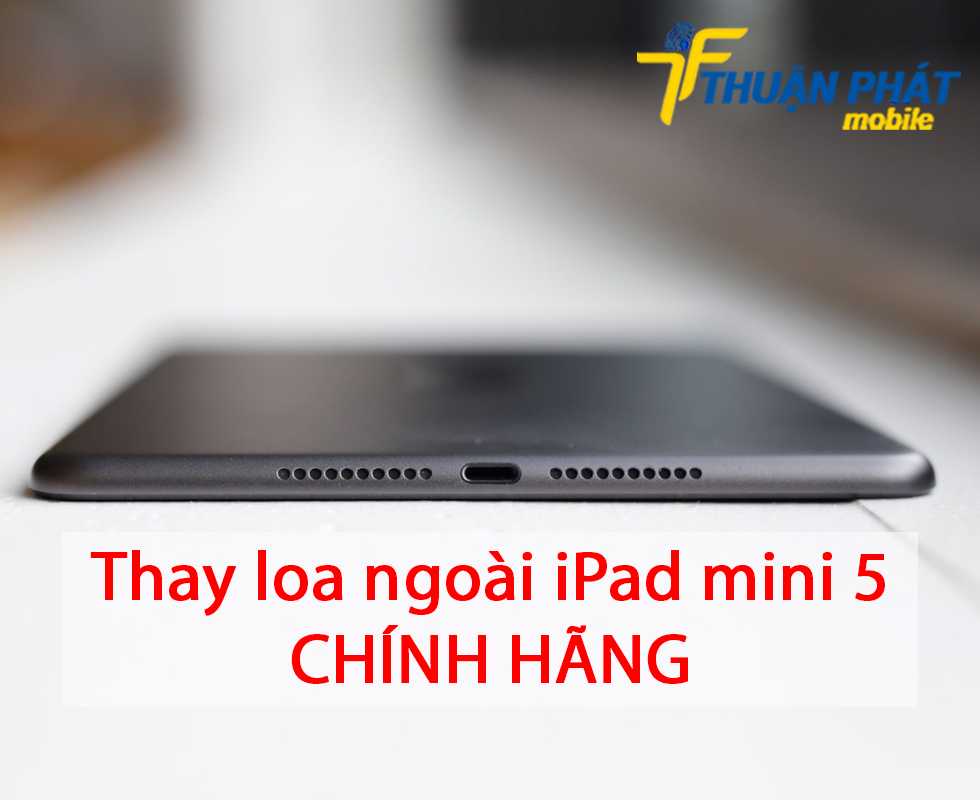 Thay loa ngoài iPad mini 5 chính hãng