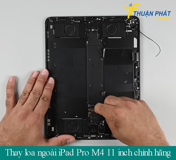 Thay loa ngoài iPad Pro M4 11 inch chính hãng