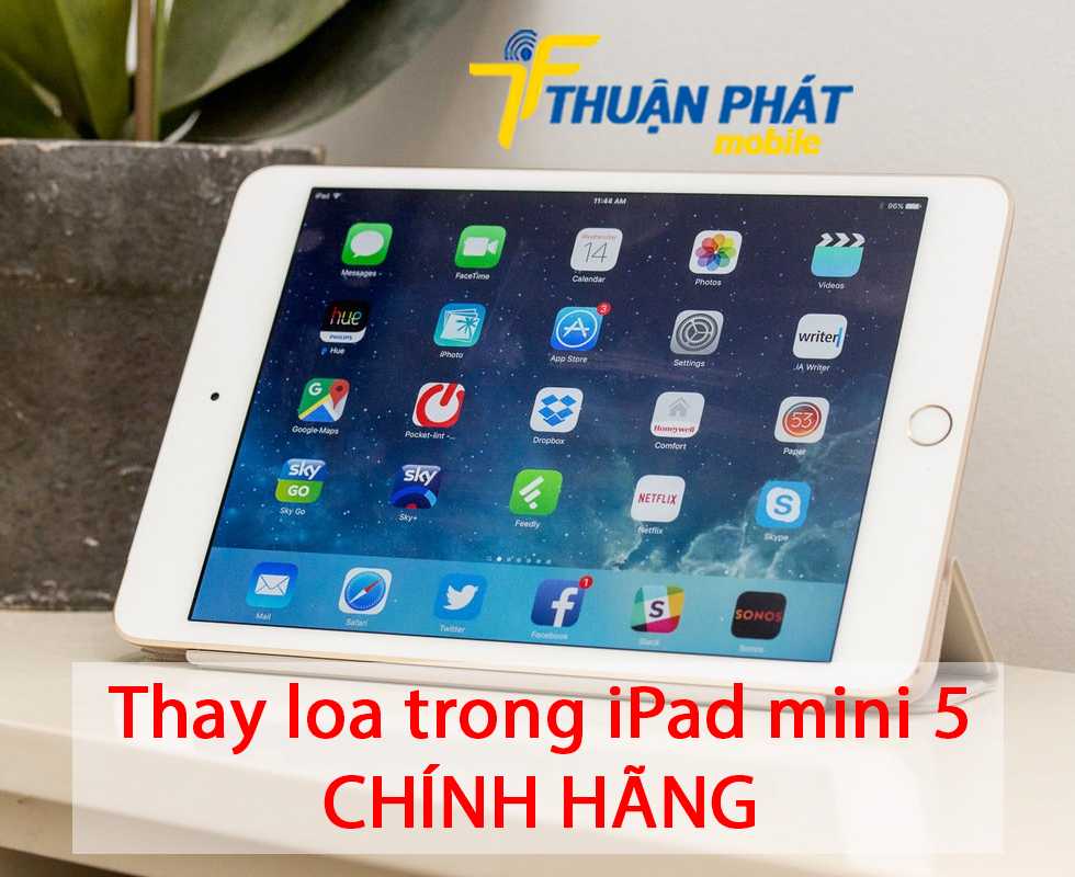 Thay loa trong iPad mini 5 chính hãng