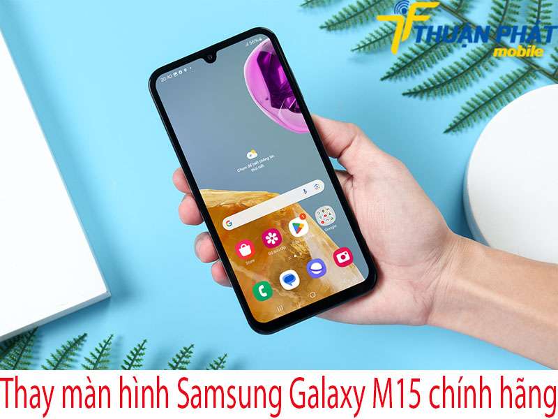 Thay màn hình Samsung Galaxy M15 chính hãng tại Thuận Phát Mobile