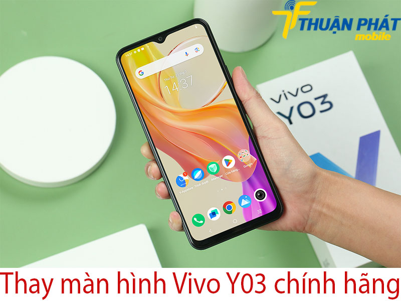 Thay màn hình Vivo Y03 chính hãng tại Thuận Phát Mobile