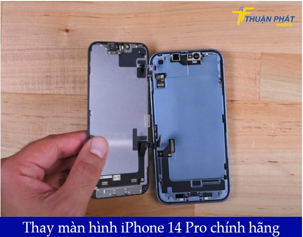 Thay màn hình iPhone 14 Pro chính hãng