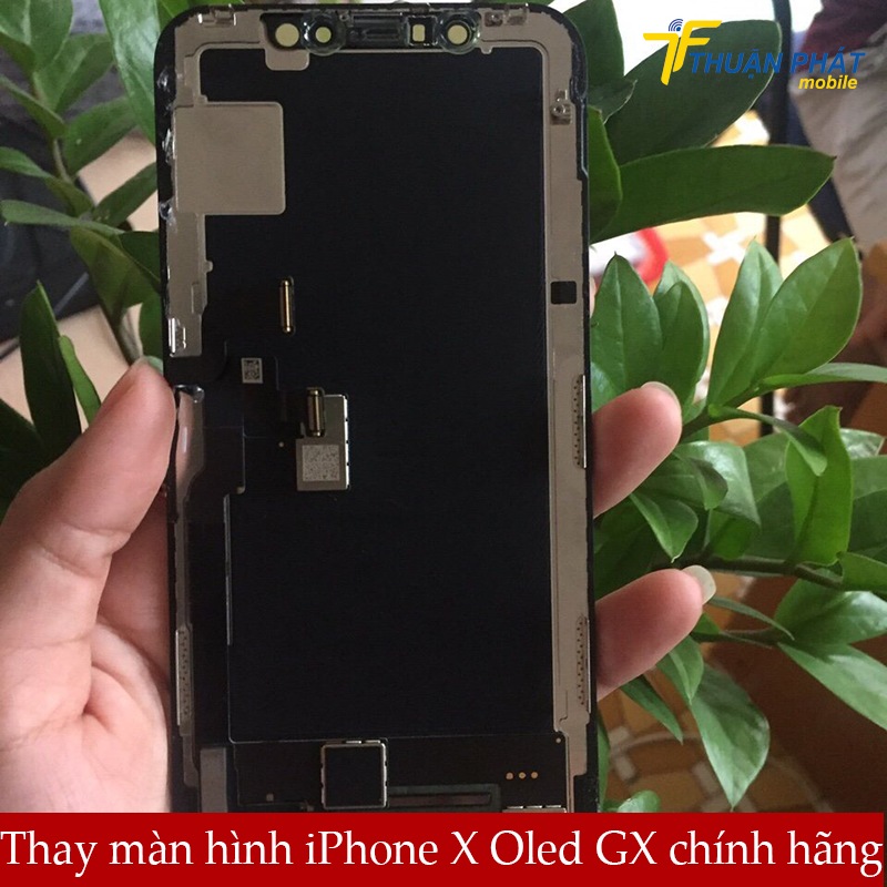 Thay màn hình iPhone X Oled Gx chính hãng