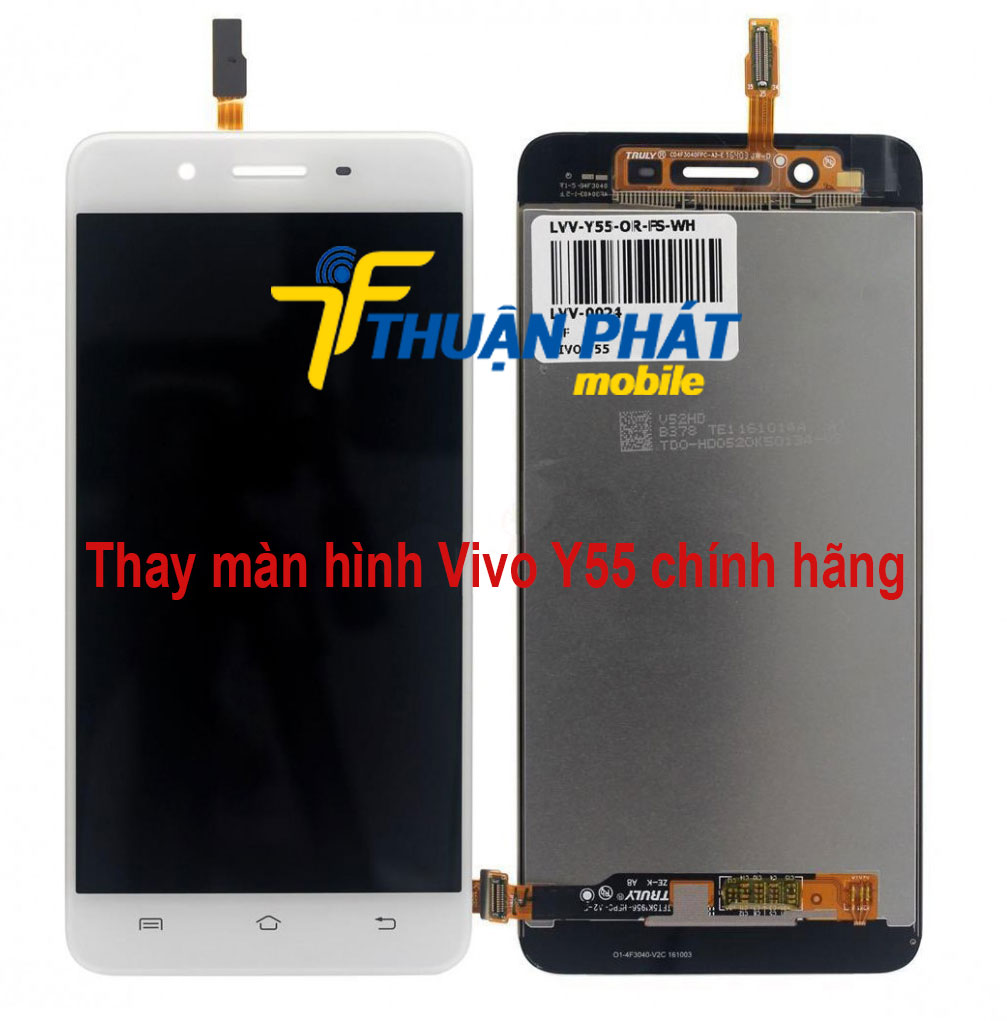 Thay màn hình Vivo Y55 chính hãng