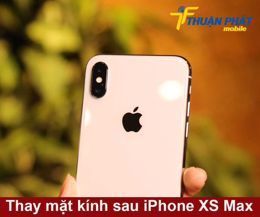 Thay mặt kính sau iPhone XS Max