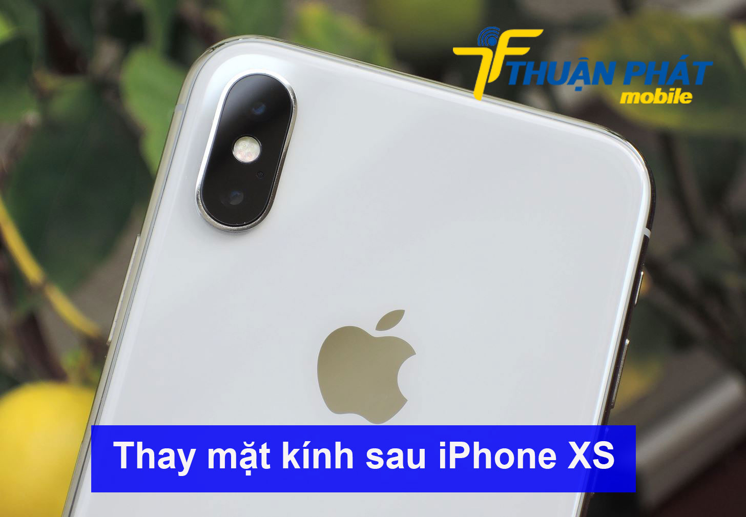 Thay mặt kính sau iPhone XS