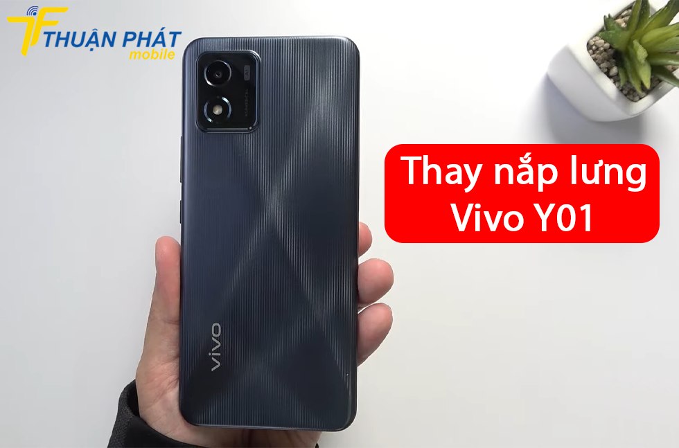 Thay nắp lưng Vivo Y01