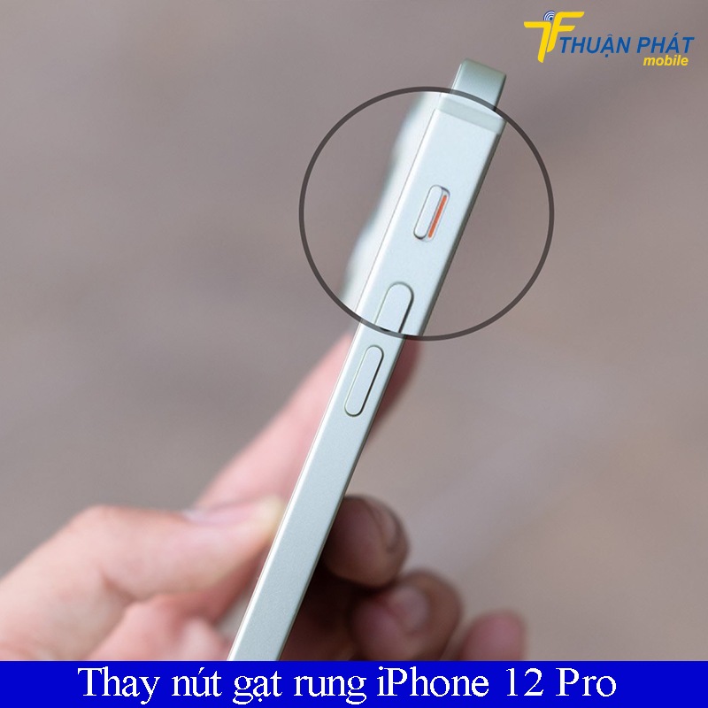 Thay nút gạt rung iPhone 12 Pro