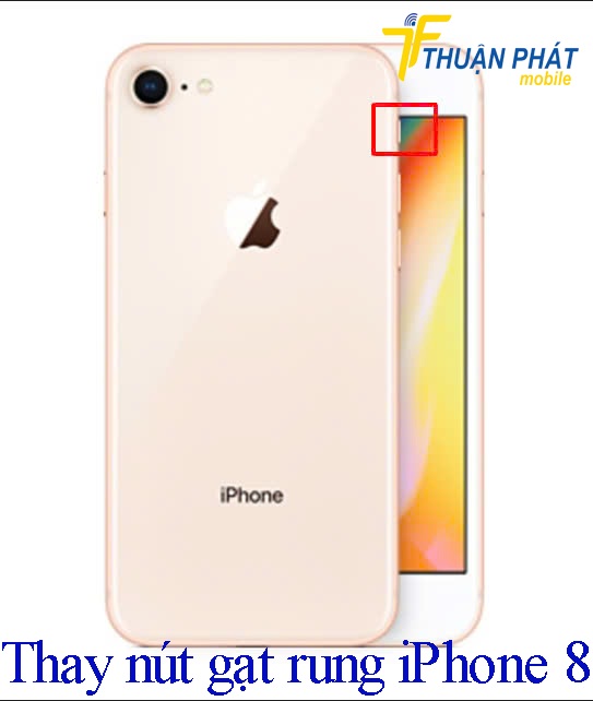 Thay nút gạt rung iPhone 8