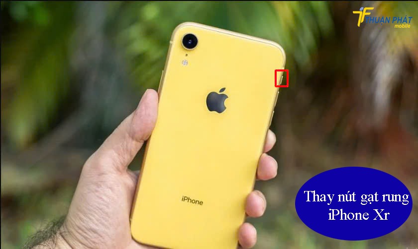 Thay nút gạt rung iPhone Xr