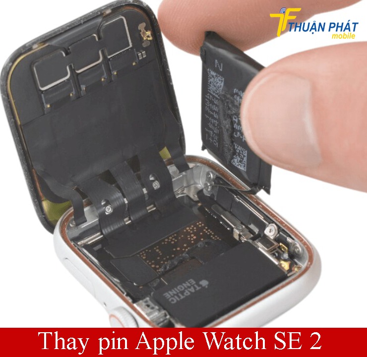 Thay pin Apple Watch SE 2 2024