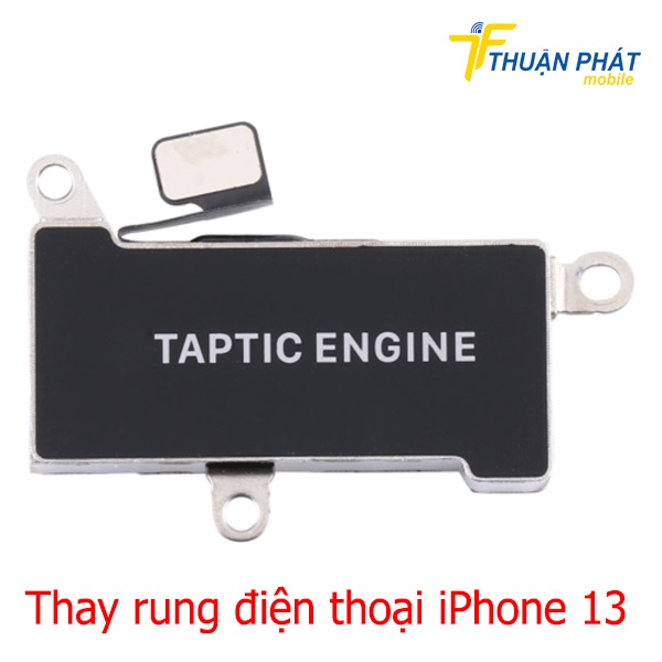 Thay rung điện thoại iPhone 13