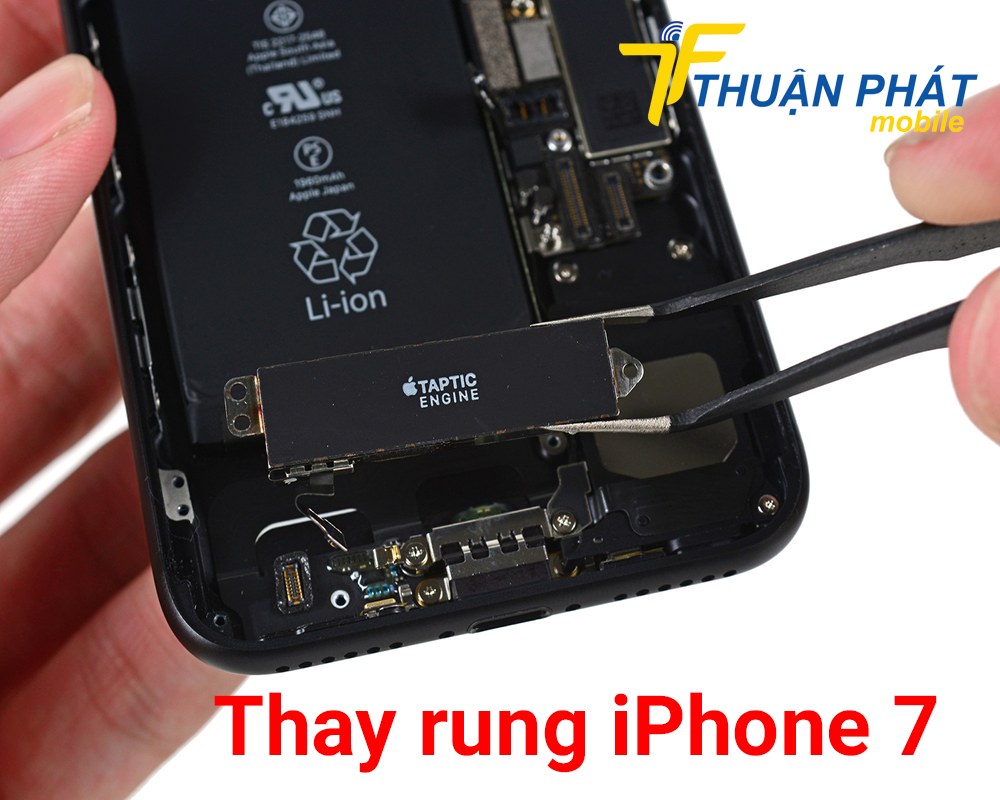 Thay rung iPhone 7