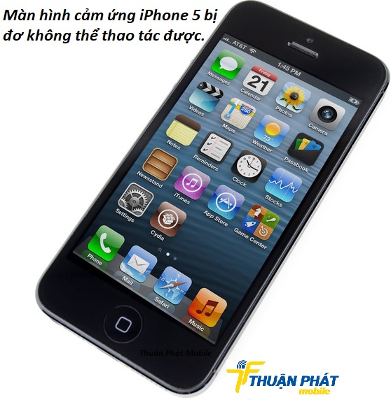 cam ung iphone 5 bi do