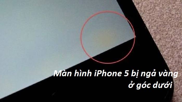 man hinh iphone 5 bi nga vang
