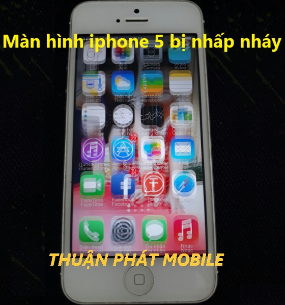 man hinh iphone 5 bi nhap nhay4