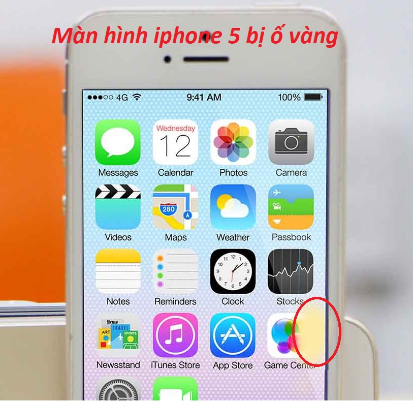 man hinh iphone 5 bi o vang1