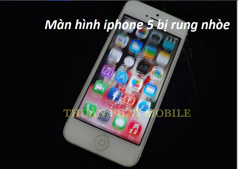 man hinh iphone 5 bi rung nhoe.jpg