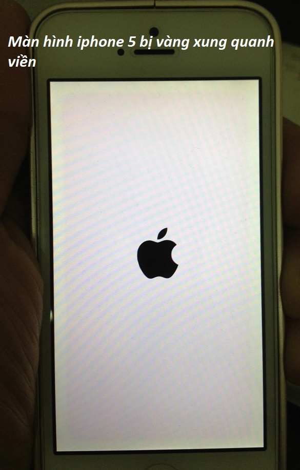 man hinh iphone 5 bi vang xung quanh