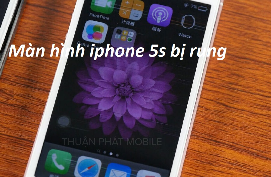 man hinh iphone 5s bi rung.jpg