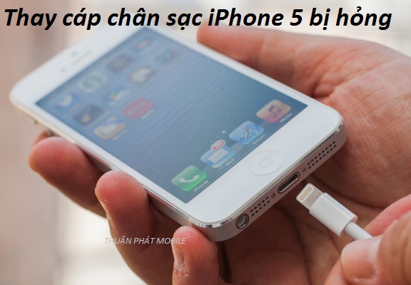 thay cap chan sac iphone 5