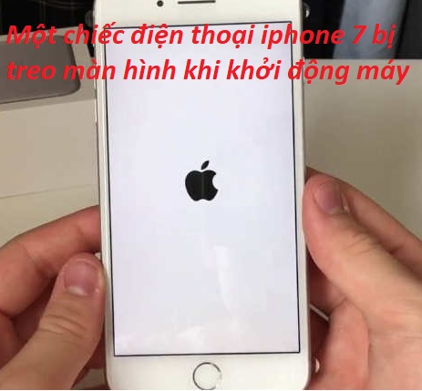 iphone 7 bi treo man hinh